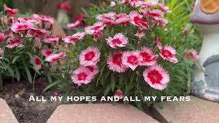 Let It Be A Hallelujah - song by Lauren Daigle
