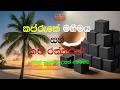 ලෝකයම හොයන ලංකාවේ කළු රත්තරන්: විසි කරන පොල් කටුවේ පුදුම වටිනාකම | Coco Burnz Charcoal🌴✨