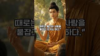 #부처님말씀 #부처님이야기 #불교이야기 #60대공감 #명언 #중장년공감 #힐링숏츠 #마음공부 #어른공감 #불교명언 #wisdom #buddha #shorts #힐링스토리 #동기부여