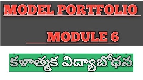 Model portfolio module 6