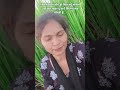 teri chunariya।। #bollywood #song #tiktokeffects #trending #viral #hindisong