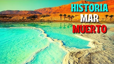 La HISTORIA en 3 Minutos del MAR MUERTO el Lago Salino más profundo del mundo