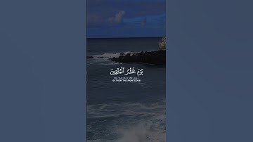 آيات بينات من الذكر الحكيم بصوت جميل ومأثر ❤ #القرآن_الكريم #المصحف #اكسبلور