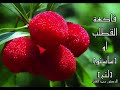 الخصائص الغذائية لفاكهة القطلب أو ساسنو  الدكتور محمد الفايد