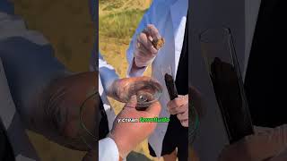Este Líquido Magnético Parece Ciencia Ficción 😳🧲