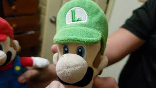 Super Mario and Luigi Randomness 4