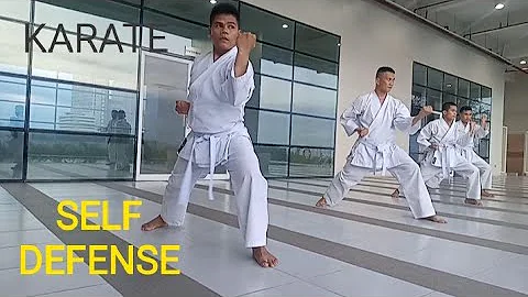 self defence technique basic alvin b nieves