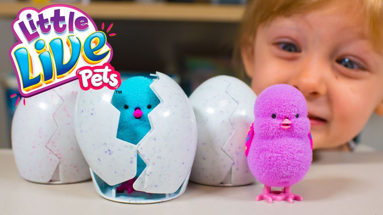 NEW Little Live Pets Surprise Chick Surprise Eggs Toys F