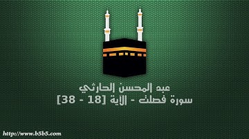 عبد المحسن الحارثي - سورة فصلت - الآية [18 - 38]