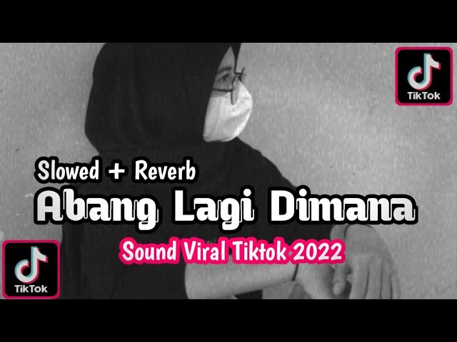DJ Bang Abang Lagi Dimana 🎵 (Slowed + Reverb) class=