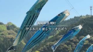 カツオと鯉のぼりの川渡し | 黒潮町観光公式サイト