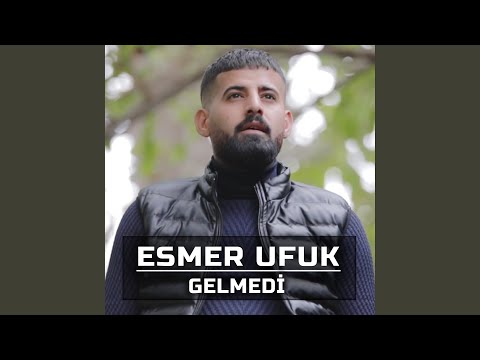 Gelmedi