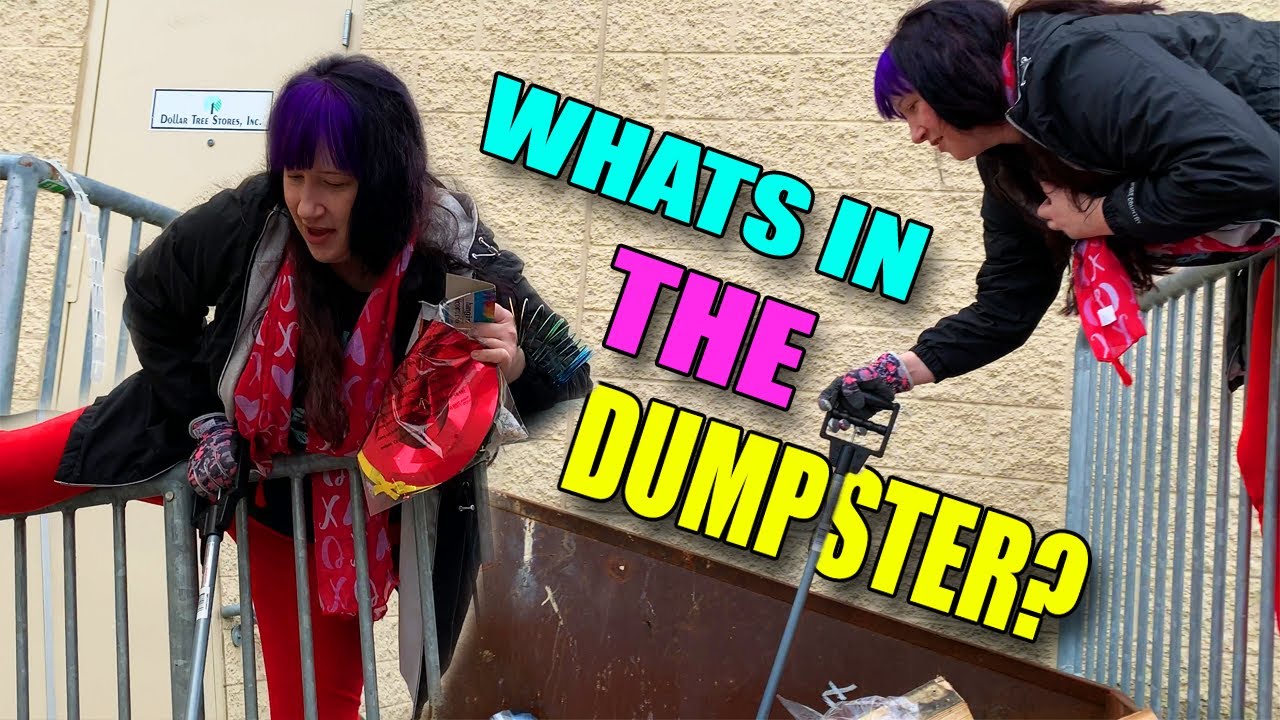 Dumpster Diva DUMPSTER DIVING OUT ON THE TOWN! Dollar Tree New Seasons