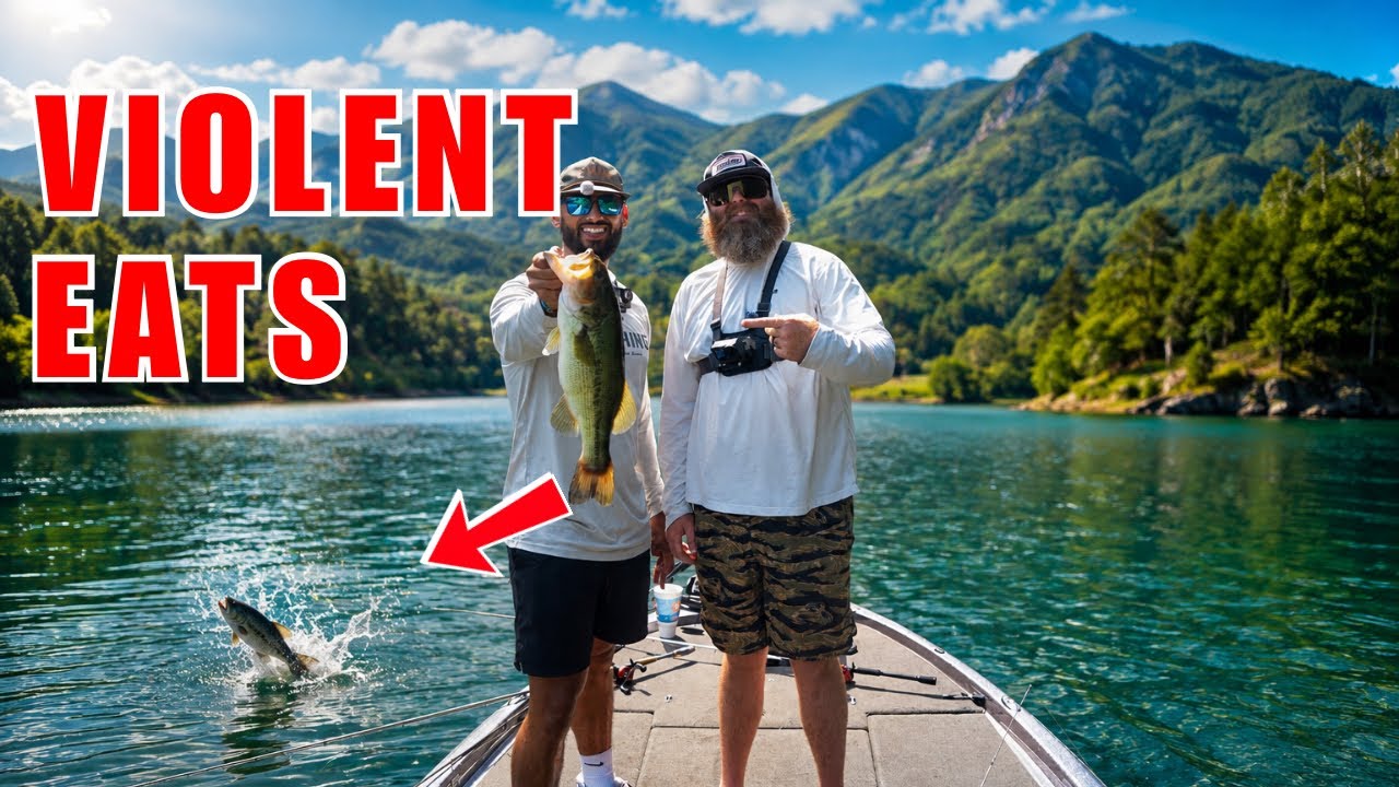 Catching Summer Bass with Giant Choppos!
