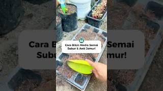 Cara Membuat Media Semai Subur, Gembur &amp; Anti Jamur ‼️