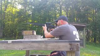 Diamondback Db-10 .308 shooting impressions.