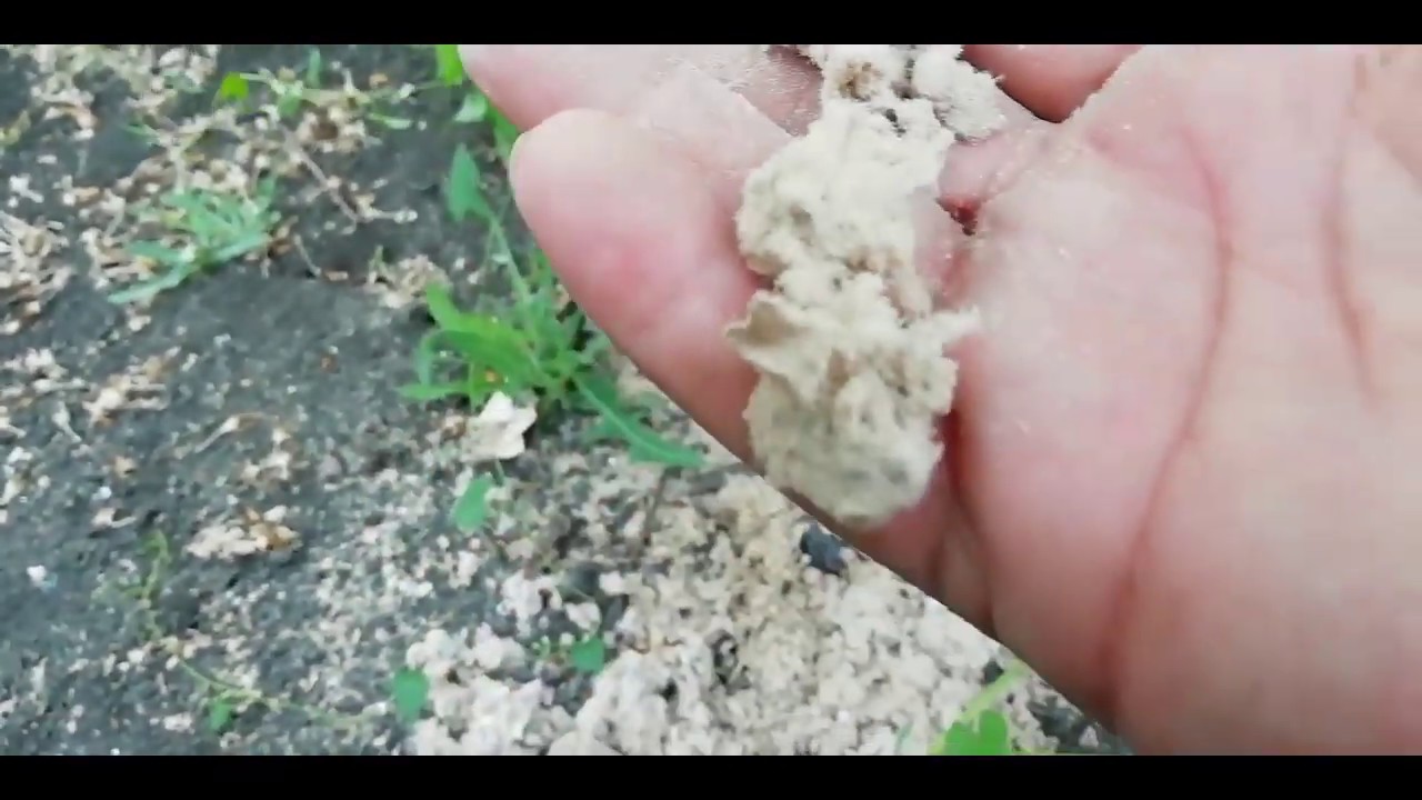 Измельчитель бумаги (краткий обзор) - YouTube