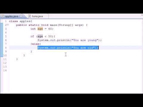 Java Programming Nested if Statements