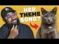 I turned my cats life into a song