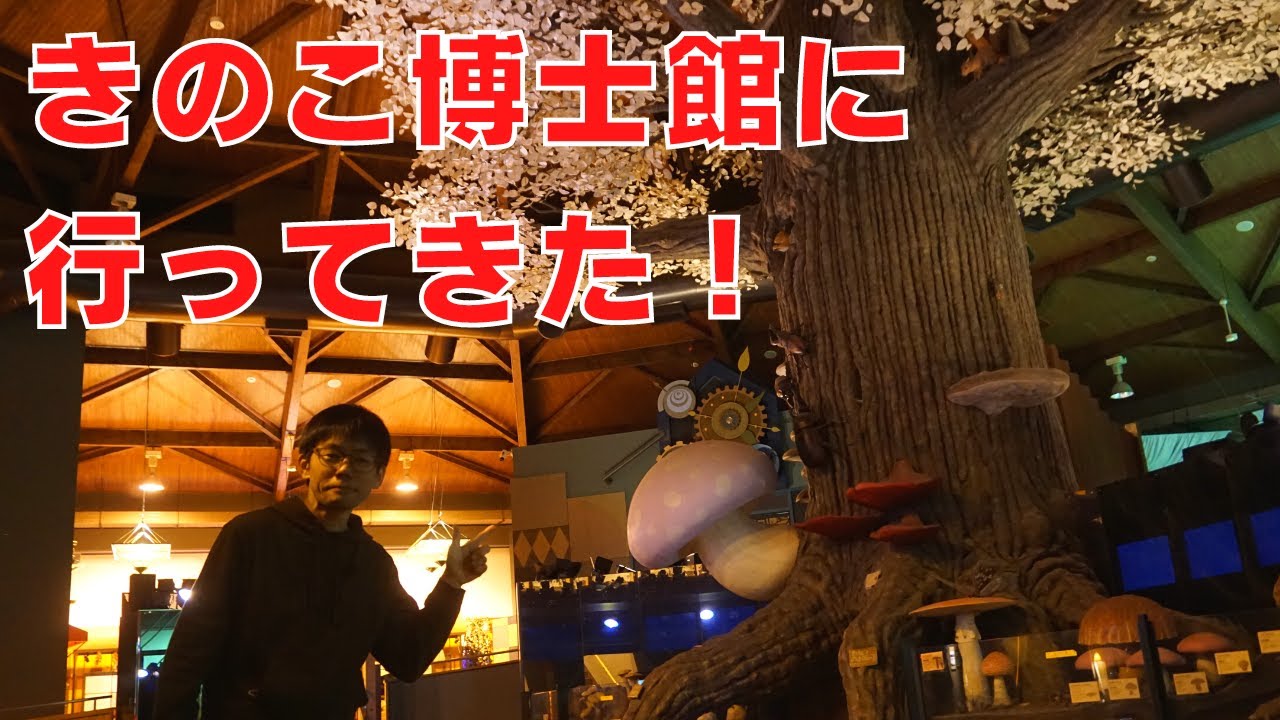 茨城 県 きのこ 博士 館
