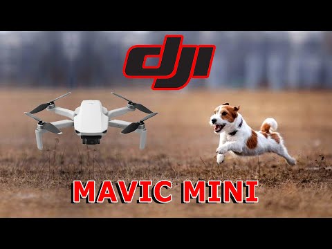 DJI Mavic Mini - теперь я знаю что видят птицы!