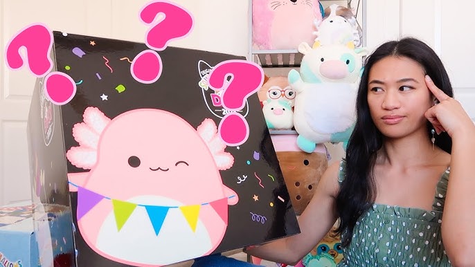 SquishMallow Jewelry Kit Unboxing ✨️ 