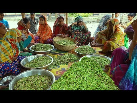 Thumbnail for Did You Ever Try This Hodgepodge? Green Peas Tasty Hodgepodge Cooking For Whole Village People