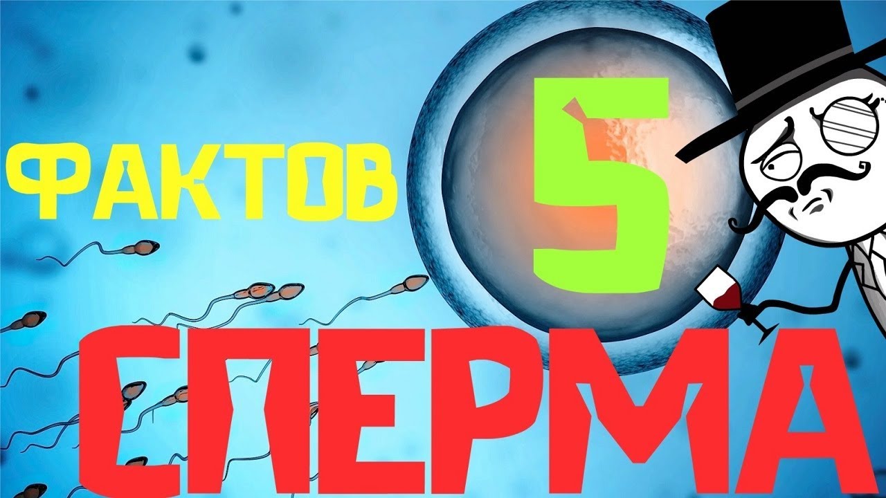 Зондирование / Популярные / Q Fap Tube - порно видео бесплатно