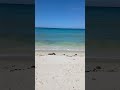 Sandy beaches of Diani