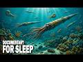 The Sea Before the Forests: Earth’s Forgotten Ordovician World