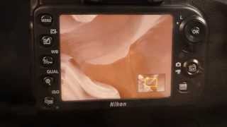 Nikon D600 (Україна)