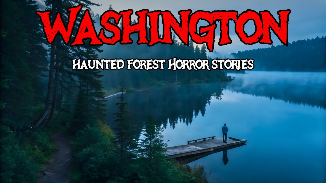 11 Washington Horror Stories That Prove These Forests Aren’t Safe | Verified Fears