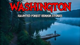 11 Washington Horror Stories That Prove These Forests Aren’t Safe | Verified Fears