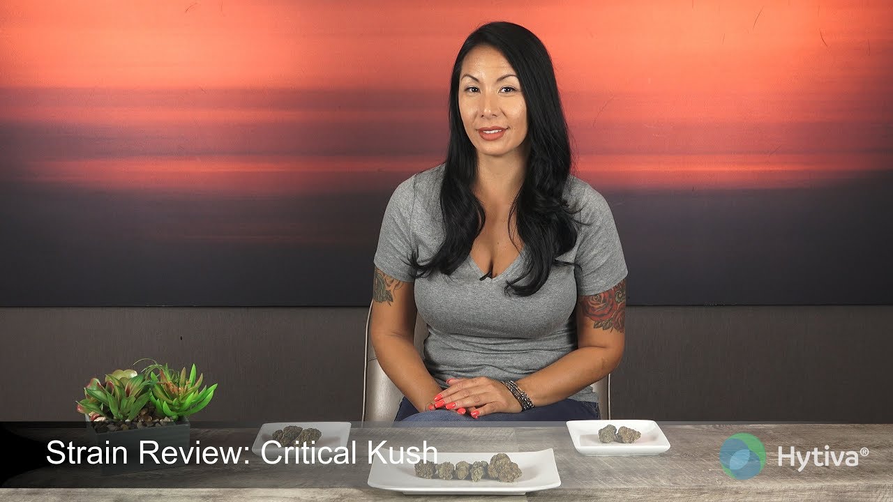 Strain Review: Critical Kush