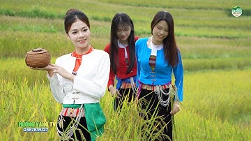 NHỮNG CÔ GÁI MƯỜNG  XINH ĐẸP TẠI LỄ HỘI RUỘNG BẬC THANG MIỀN ĐỒI 2025