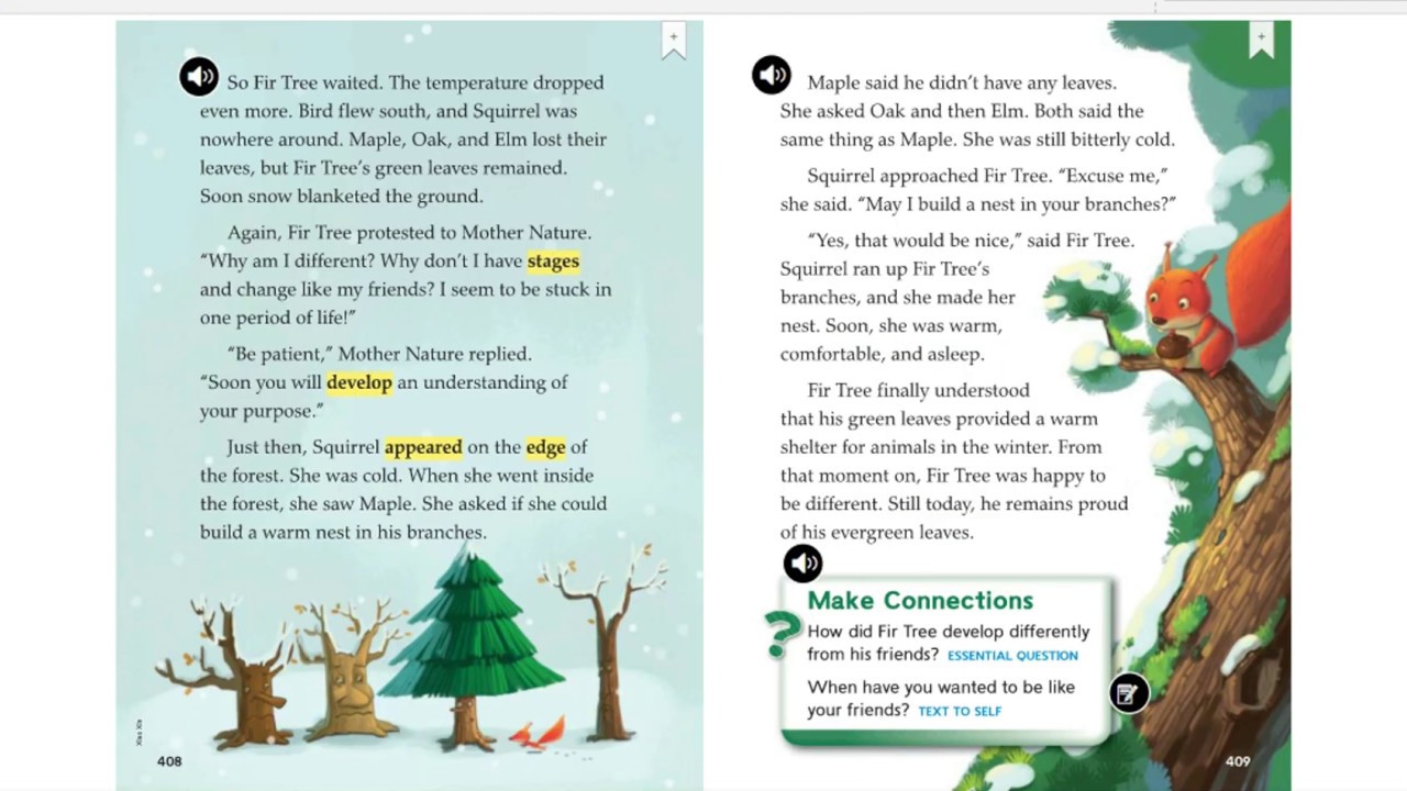 you see this tree it is a fir tree you see this tree it is a fir tree