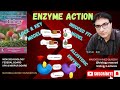 Enzyme Catalysis | Lock & Key, Induced Fit Model | Allosteric Enzymes | Urdu Hindi English | 2024
