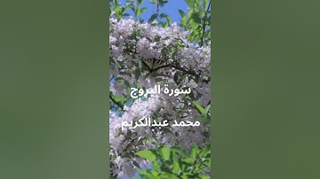 سورة البروج محمد عبدالكريم //Surat Al-Burooj