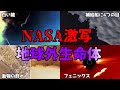 【ゆっくり解説】写真や映像で捉えた! NASAが捉えてしまった地球外生命体実在の恐るべき証拠について