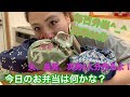 【30分で簡単お弁当】3人分のお弁当を30分で作っていきます。