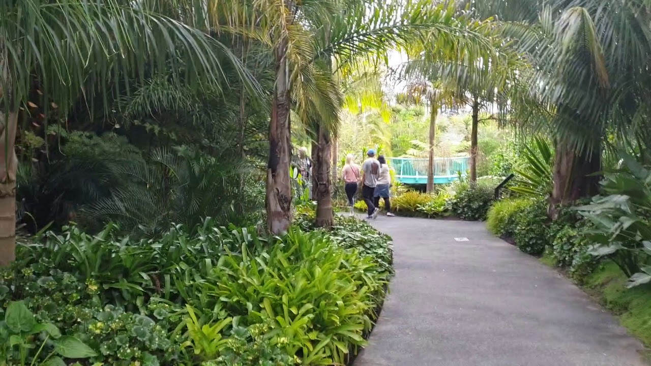 Tropical Garden at Hamilton Gardens, New Zealand
