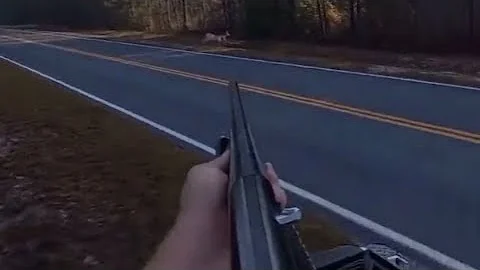 Best Killshots of 2019 Dog Drive Season!