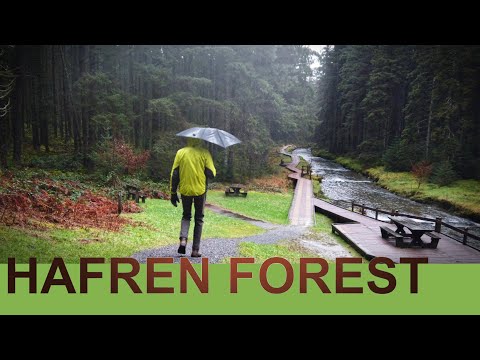 Walking in the Rain, Hafren Forest | River Severn, Mid Wales