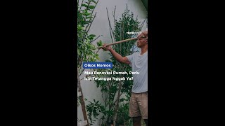Renovasi Rumah Perlu Izin Tetangga atau Tidak  Ya?