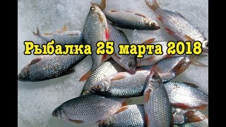 Зимняя рыбалка.Конец марта.Уха на льду.