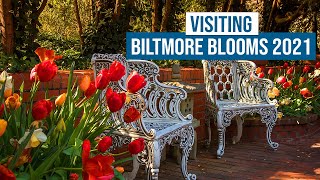 Visiting Biltmore Blooms 2021