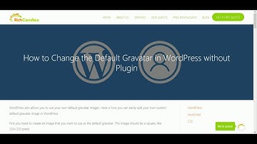 How to Change the Default Gravatar in WordPress without Plugin