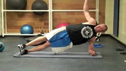 Self Made Exercise Index:  Side Bridge with Rotation