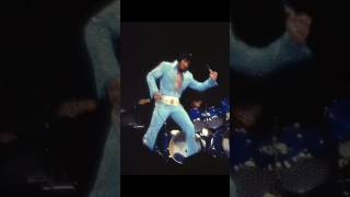 Hound Dog Elvis At Madison Square Garden 1972
