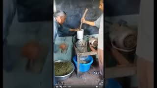 كيفية عصر الزيتون فى المنزل وبكميات كبيرة والحصول على زيت زيتون بجودة عالية olive oil extraction